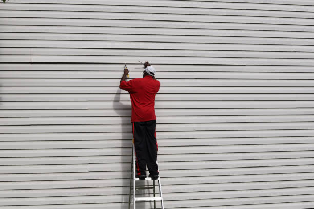 Affordable Siding Repair and Maintenance Services in San Lorenzo, CA